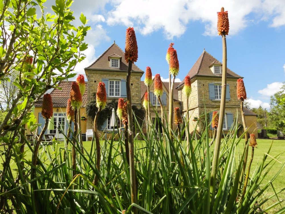 Photo de Chambres d'hotes Le Chevrefeuille