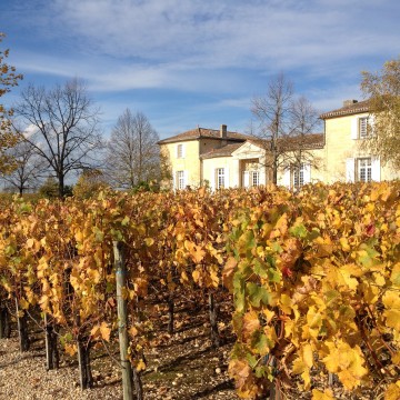 Photo Château Belles-Graves  à Néac 33500