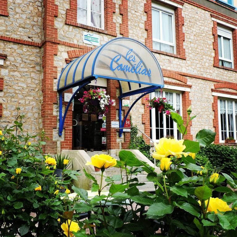 Photo de Les Camélias