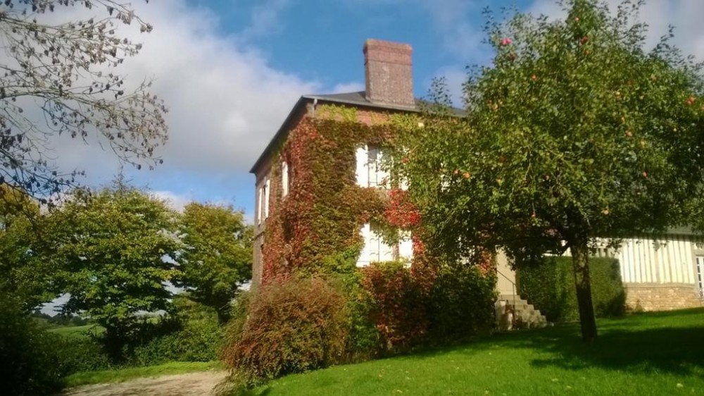 Photo de La Cour Mare