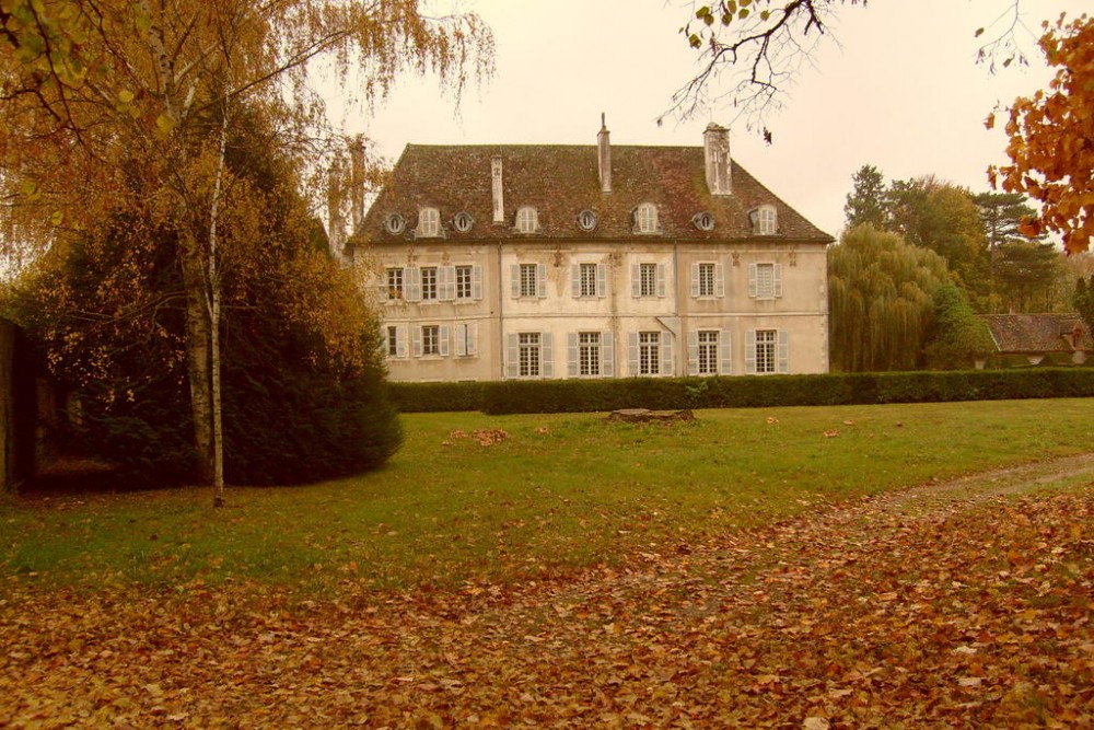 Photo de Château De Serrigny