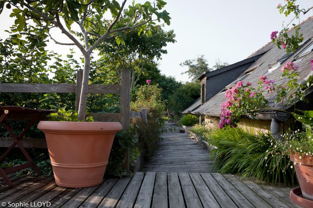Photo de La Maison Des Lamour