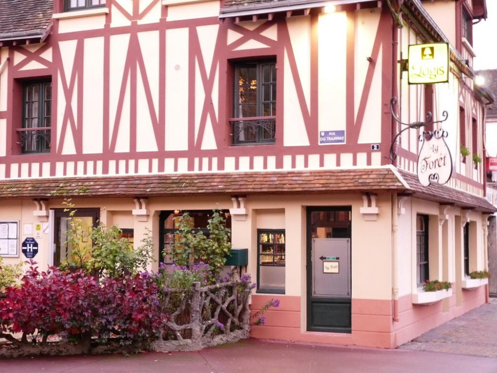 Photo de La Forêt
