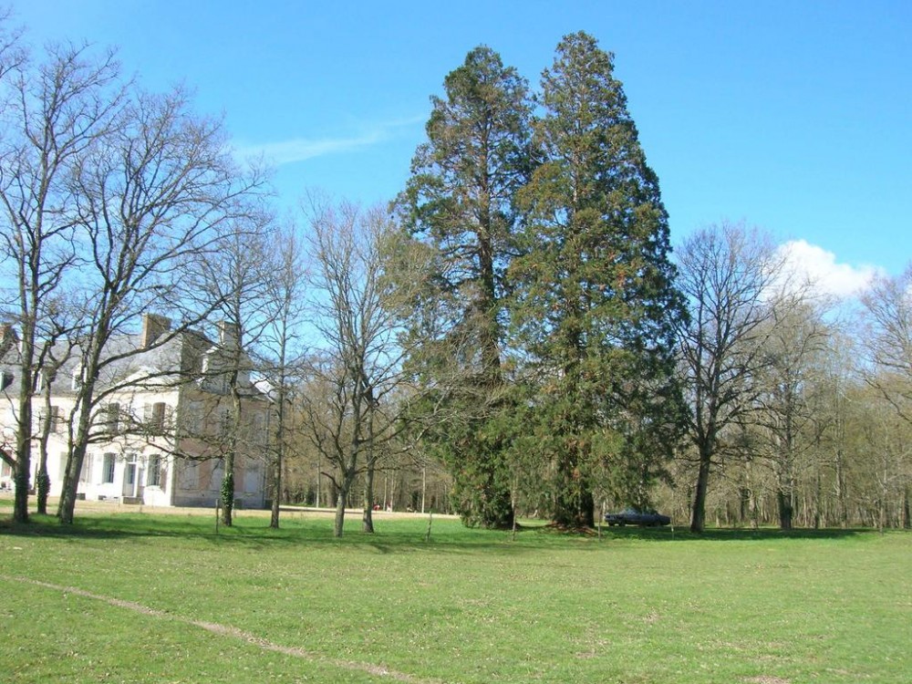 Photo de Château de Bois Renard