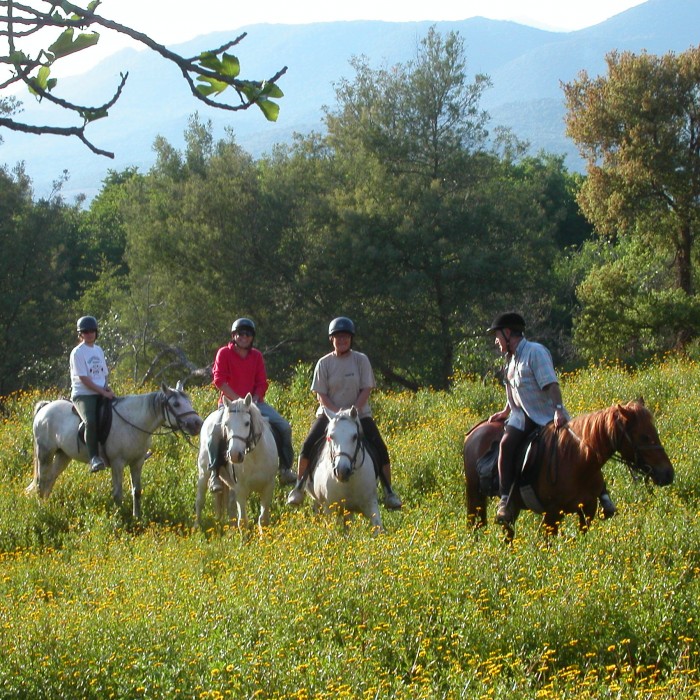 Photo de Domaine de Croccano 