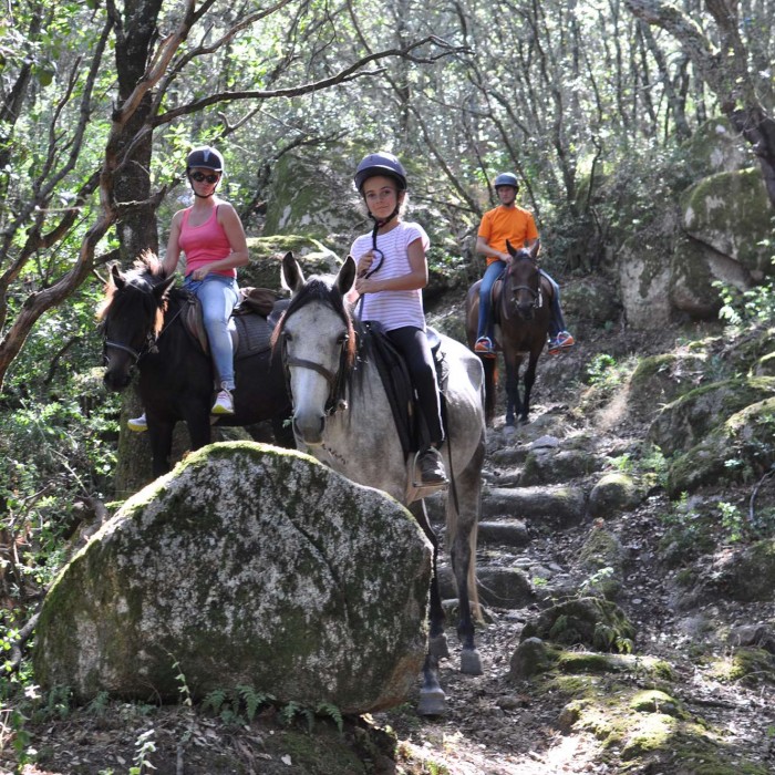 Photo de Domaine de Croccano 
