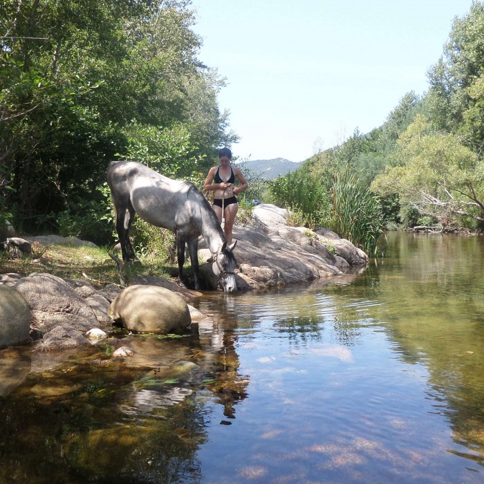 Photo de Domaine de Croccano 