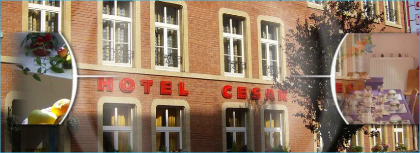 Photo de Hôtel Chateau de la Cazine