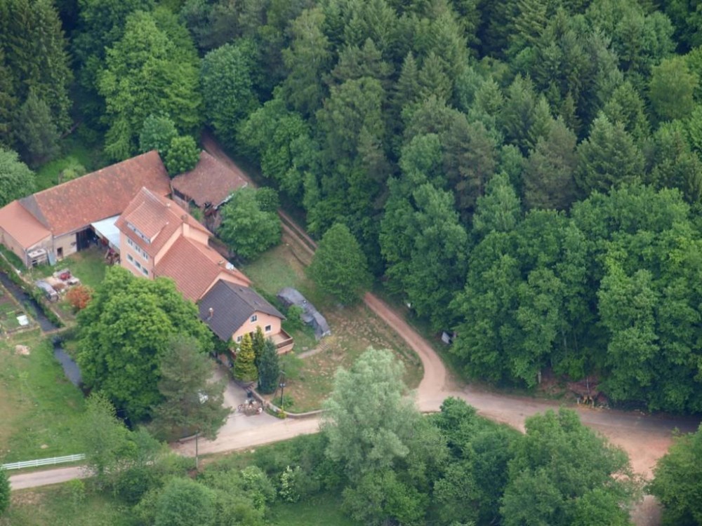 Photo de Gite du Moulin de la Schwingmulhe