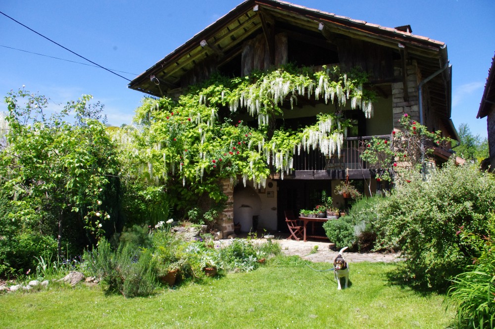 Photo de Chambres d'hôtes de Rougé