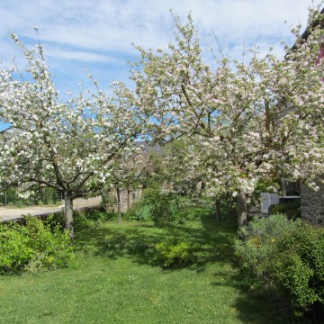 Photo Chambres dhôtes Le Cambrou à Sauveterre-de-Rouergue 12800