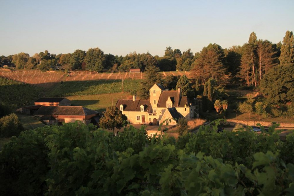 Photo de Château de Cheman