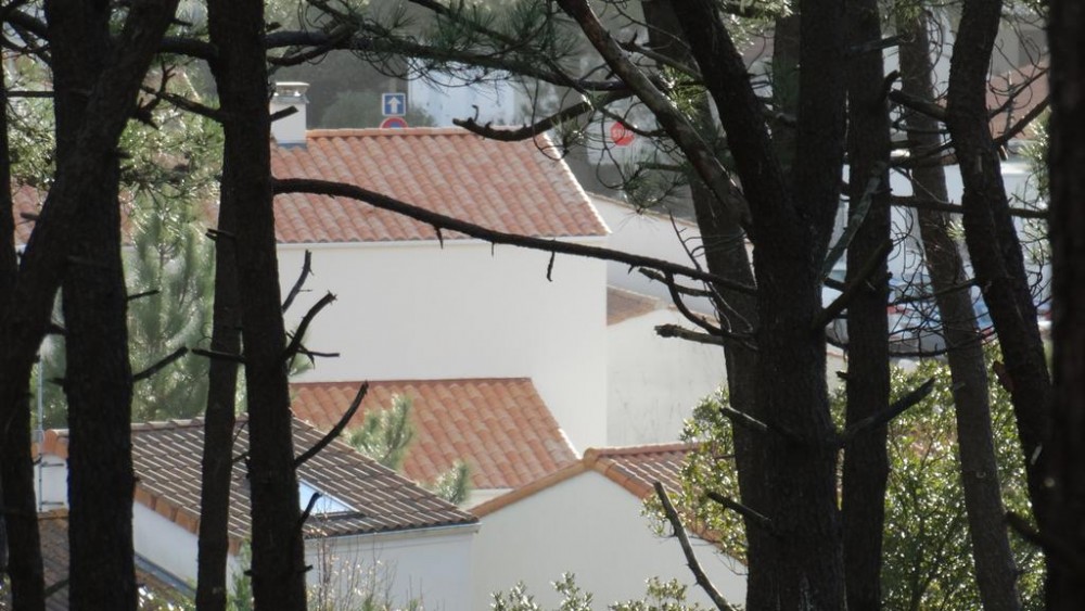 Photo de Hôtel Au Petit Bonheur