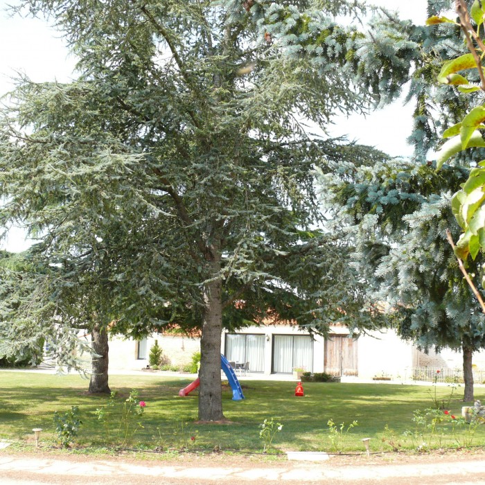 Photo de Gîte les Chats Ferrés
