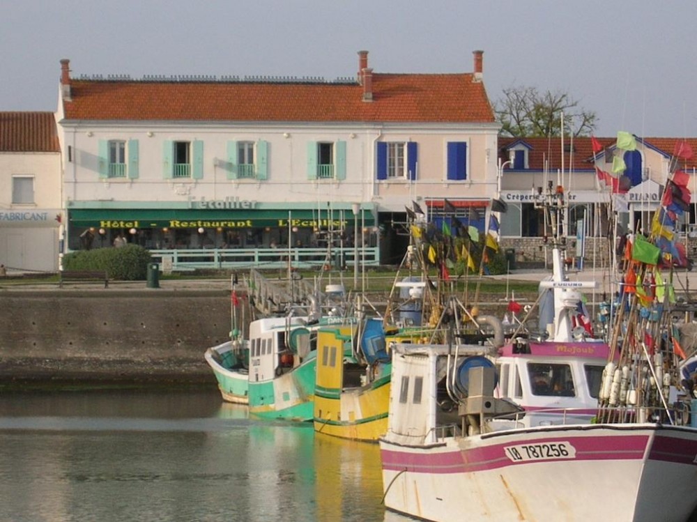 Photo de L'Ecailler