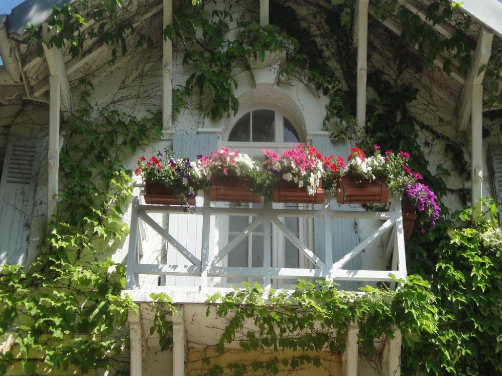 Photo de Hôtel le Chalet Fleuri