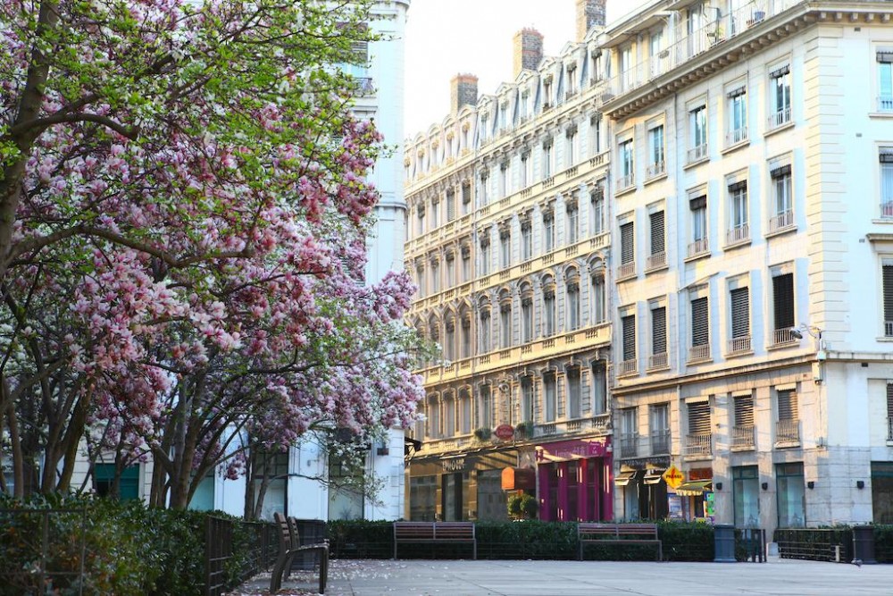 Photo de Hôtel des Celestins