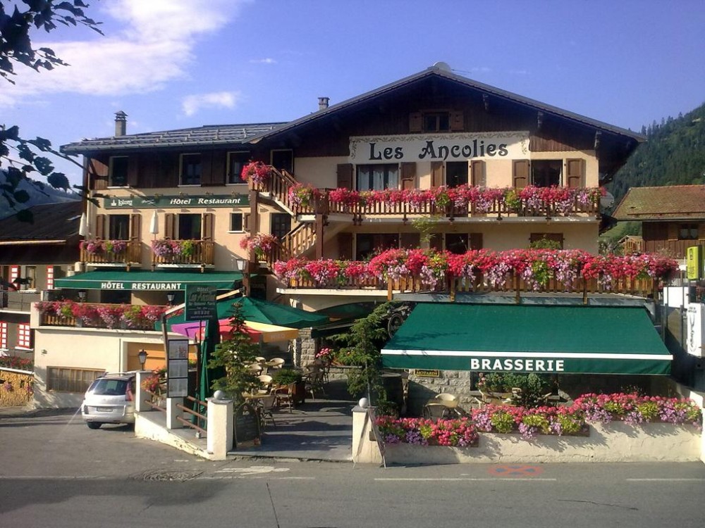 Photo de Hôtel les Ancolies