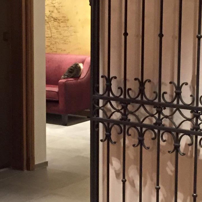 Photo de Hôtel Le Samoyède & Spa 