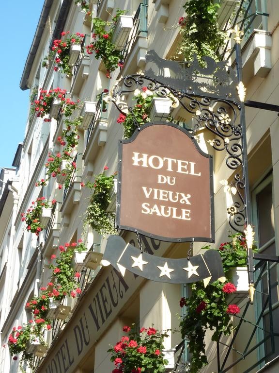 Photo de Hôtel Du Vieux Saule