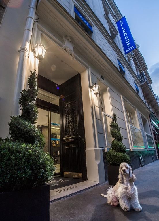 Photo de Hôtel Splendor